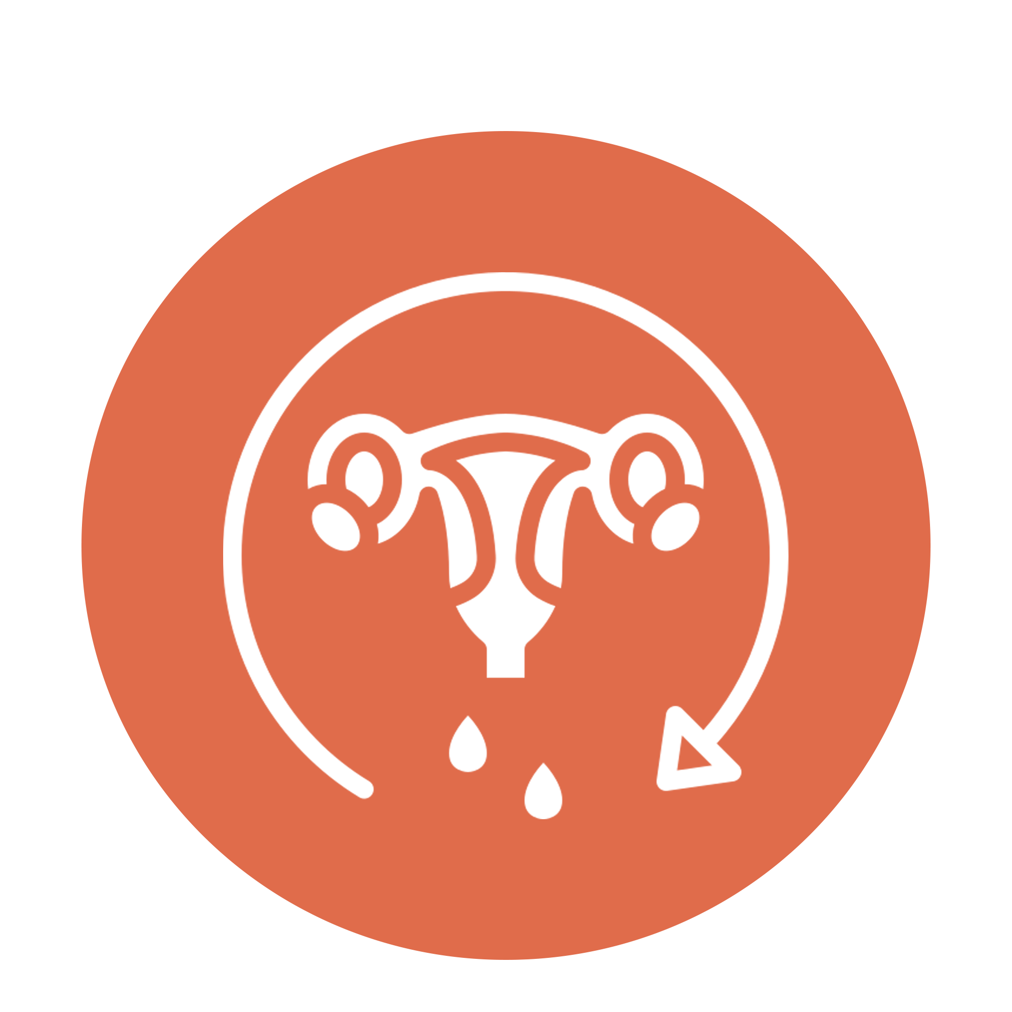 Menstrual Cycles